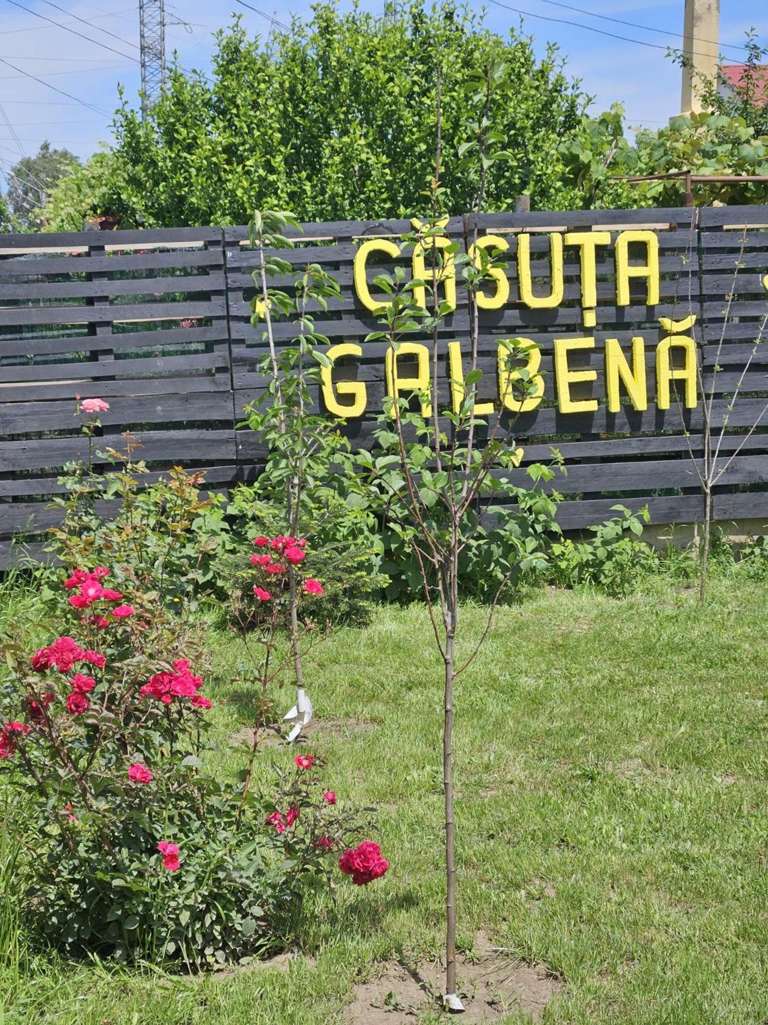Casuta Galbena Villa Eforie Nord Exterior photo
